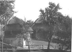 eika image
